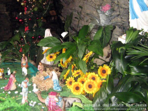 2008_natal (3)