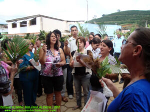 2012_domingo_ramos (2)