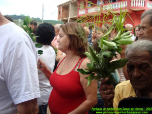 2012_domingo_ramos (4)
