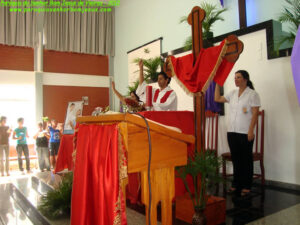 2012_domingo_ramos (8)