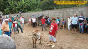 2015_sao_sebastiao (12) 2015_sao_sebastiao (12)