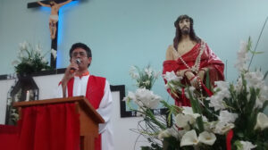 2016_sao_sebastiao (3)